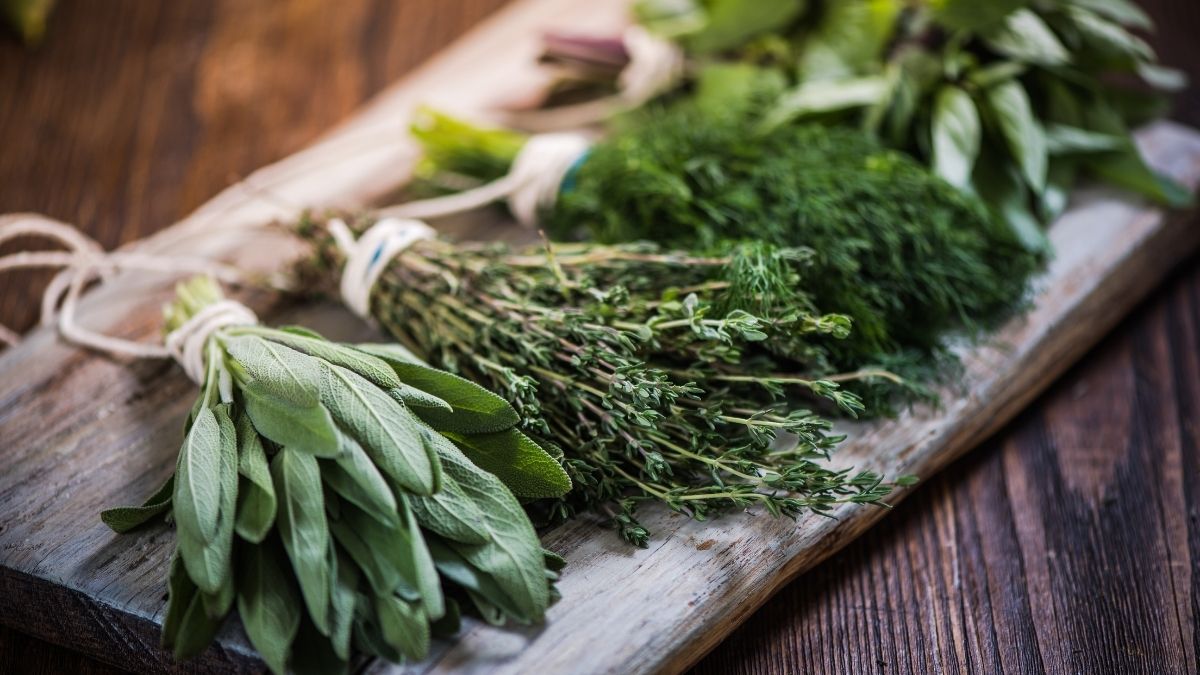 Natural Herbs that can replace viagra
