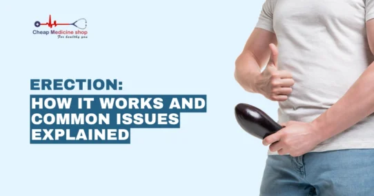 Erection How It Works and Common Issues Explained