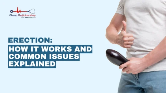 Erection How It Works and Common Issues Explained