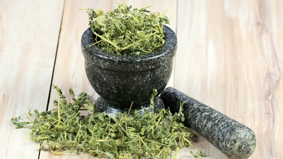 is there a natural herb for erectile dysfunction