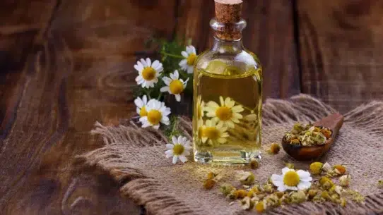 essential oils for pink eye