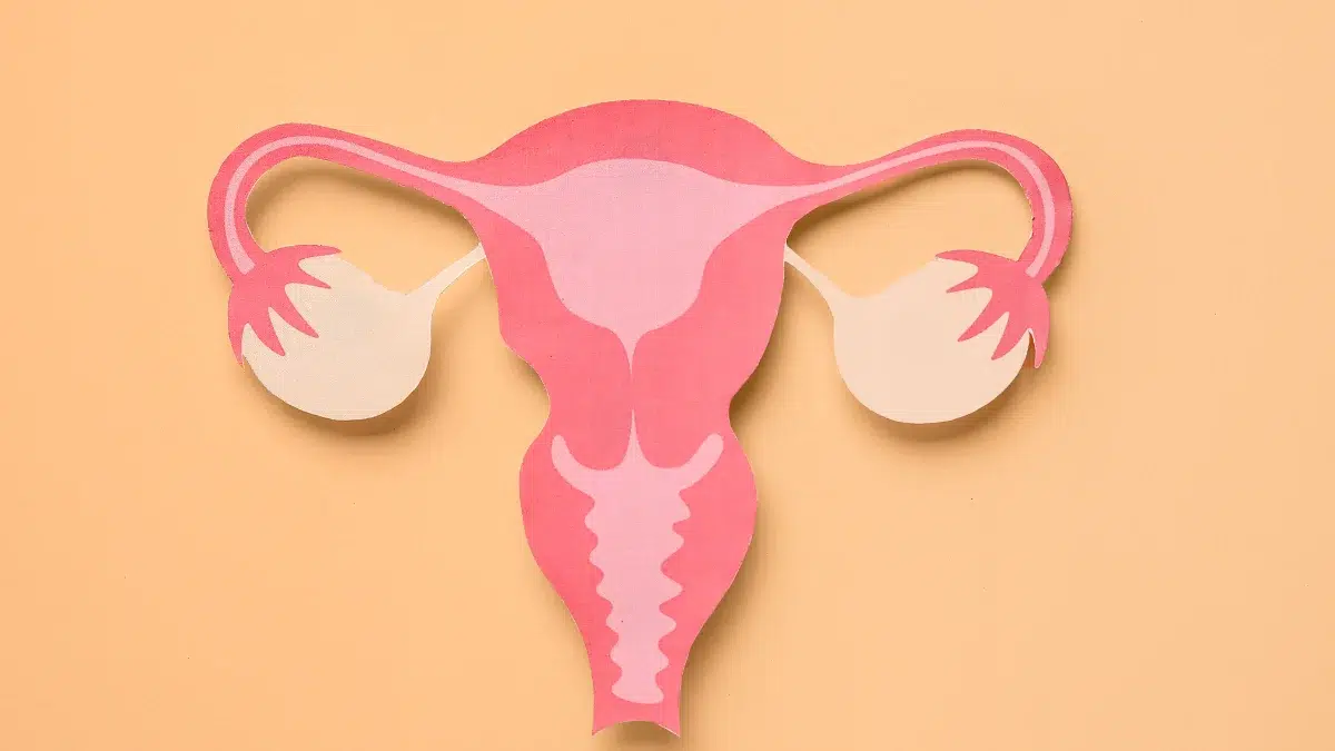 perimenopause and fibroids