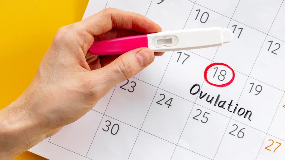 pregmate ovulation test