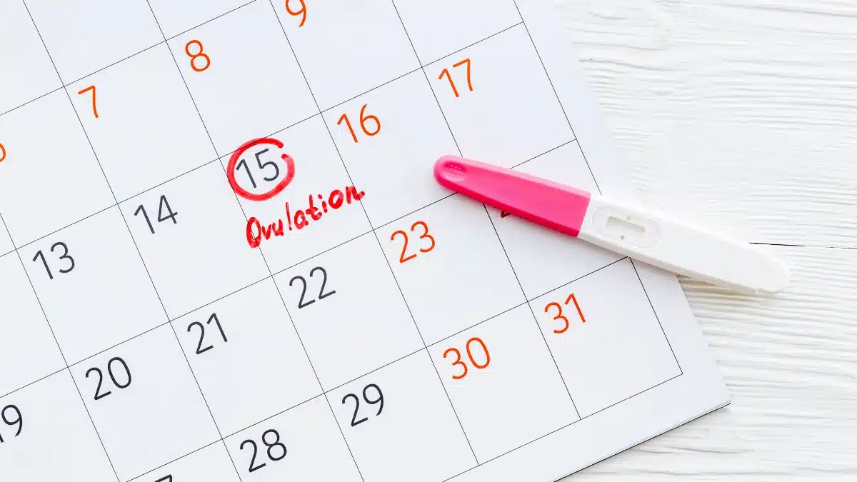 unprotected-sex-during-ovulation